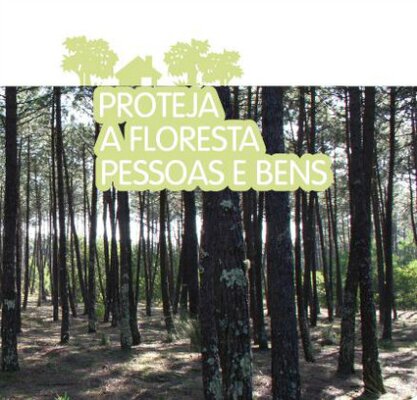 Uso do fogo &ndash; espa&ccedil;os florestais e rurais