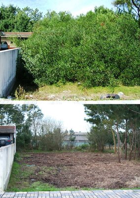 Gest&atilde;o de Combust&iacute;veis-Limpeza de Matos e Corte de &Aacute;rvores