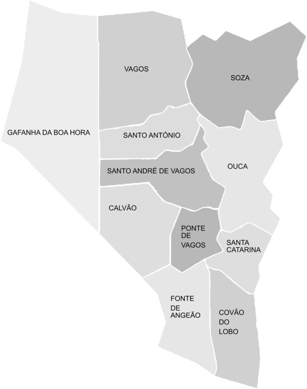 Mapa das Freguesias de Vagos (informa&ccedil;&atilde;o sobre as Freguesias mais abaixo)